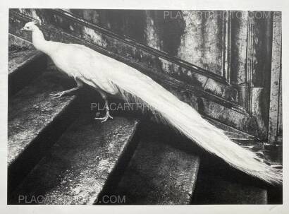 Joakim Kocjancic,Nine City Scapes From Europea (limited edition of 100) Joakim Kocjancic,Nine City Scapes From Europea (limited edition of 100)