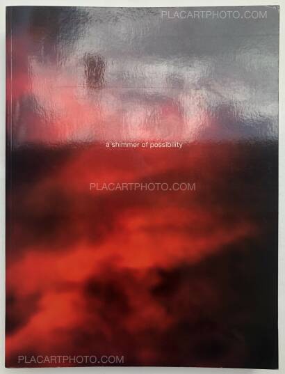 Paul Graham,A Shimmer of possibility  Paul Graham,A Shimmer of possibility