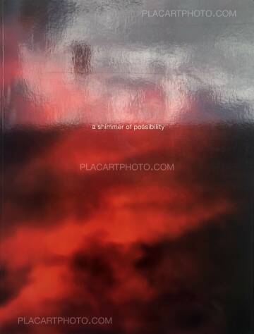 Paul Graham,A Shimmer of possibility  Paul Graham,A Shimmer of possibility