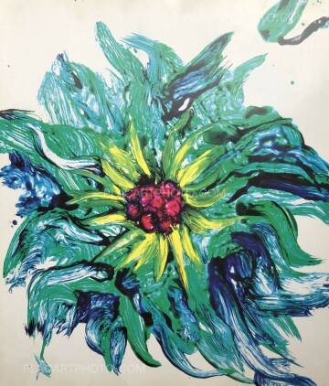 Nobuyoshi Araki,Ryuseki (flowing Stones) Nobuyoshi Araki,Ryuseki (flowing Stones)