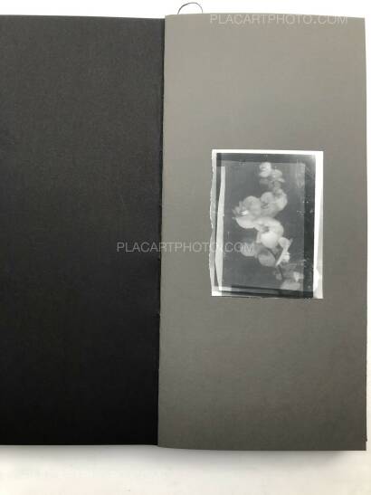 Laura Rodari,THE GRAY LINE (ARTIST'S EDITION OF 11)  Laura Rodari,THE GRAY LINE (ARTIST'S EDITION OF 11)