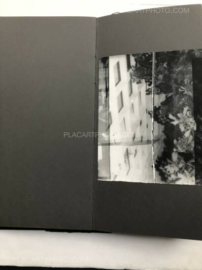 Laura Rodari,THE GRAY LINE (ARTIST'S EDITION OF 11)  Laura Rodari,THE GRAY LINE (ARTIST'S EDITION OF 11)