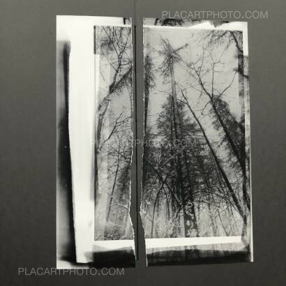 Laura Rodari,THE GRAY LINE (ARTIST'S EDITION OF 11)  Laura Rodari,THE GRAY LINE (ARTIST'S EDITION OF 11)