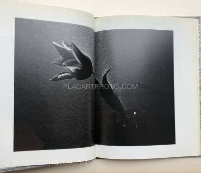 Daido Moriyama,Imitation (signed) Daido Moriyama,Imitation (signed)