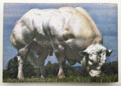 Collective,BODY BUILDING BULLS (Edt of 100) Collective,BODY BUILDING BULLS (Edt of 100)