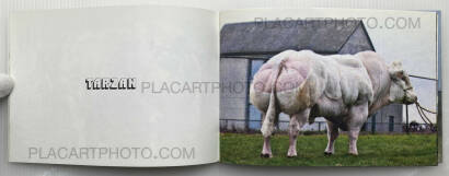 Collective,BODY BUILDING BULLS (Edt of 100) Collective,BODY BUILDING BULLS (Edt of 100)