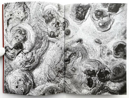 Jean-Marc Caimi & Valentina Piccinni,The Burning Plain Jean-Marc Caimi & Valentina Piccinni,The Burning Plain