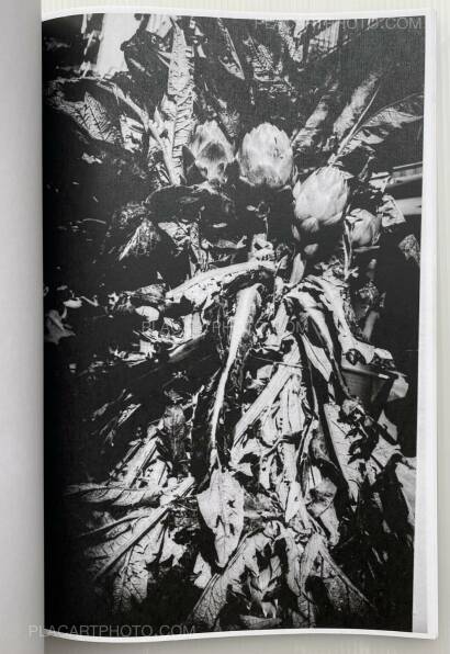 JF Chapp,Photocopied City -No.1 -2014 JF Chapp,Photocopied City -No.1 -2014