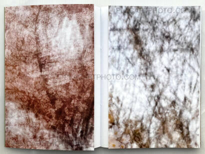 Yoshinori Mizutani,Sakura Yoshinori Mizutani,Sakura