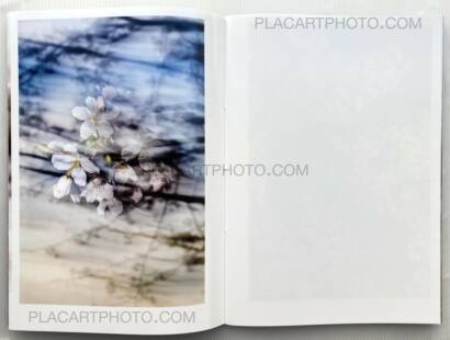 Yoshinori Mizutani,Sakura Yoshinori Mizutani,Sakura