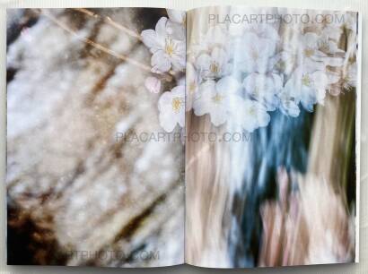 Yoshinori Mizutani,Sakura Yoshinori Mizutani,Sakura