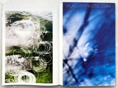 Yoshinori Mizutani,Sakura Yoshinori Mizutani,Sakura