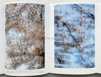 Yoshinori Mizutani,Sakura Yoshinori Mizutani,Sakura