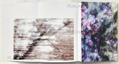 Yoshinori Mizutani,Sakura Yoshinori Mizutani,Sakura