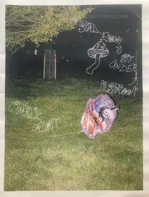 Charlie Tallott – Small Enough To Sit Under A Mushroom (Signed Edt of 30)