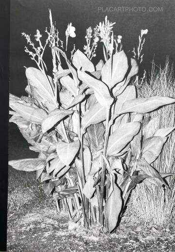 Ramon Zuliani,Flushing Meadows Ramon Zuliani,Flushing Meadows