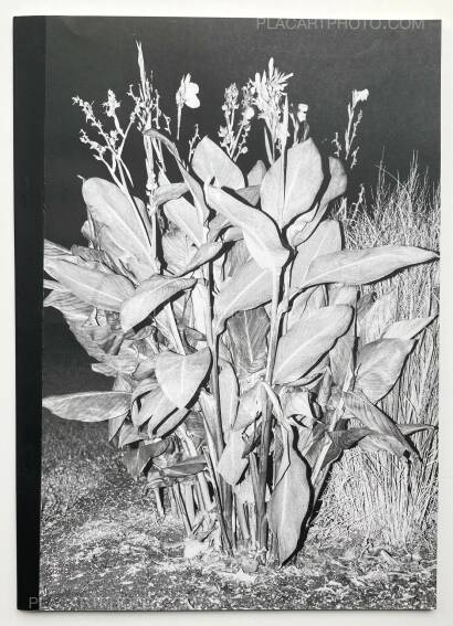 Ramon Zuliani,Flushing Meadows Ramon Zuliani,Flushing Meadows