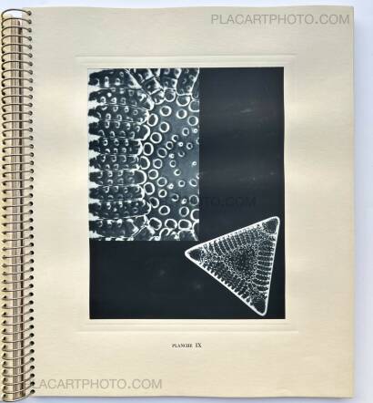 Laure Albin Guillot,MICROGRAPHIE DÉCORATIVE Laure Albin Guillot,MICROGRAPHIE DÉCORATIVE