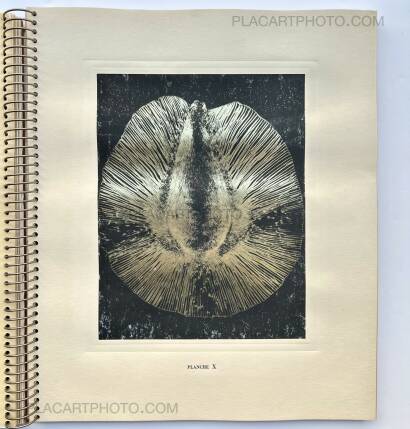 Laure Albin Guillot,MICROGRAPHIE DÉCORATIVE Laure Albin Guillot,MICROGRAPHIE DÉCORATIVE