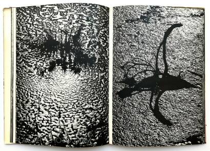 Lucien Clergue,Camargue Secrète (ASSOCIATION COPY) Lucien Clergue,Camargue Secrète (ASSOCIATION COPY)