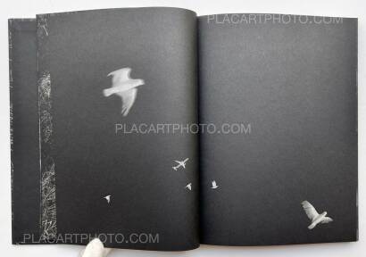 Stacy Mehrfar,The Moon Belongs to Everyone (SIGNED) Stacy Mehrfar,The Moon Belongs to Everyone (SIGNED)
