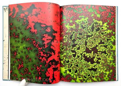 Sara Davidmann,Mischling 1 Sara Davidmann,Mischling 1