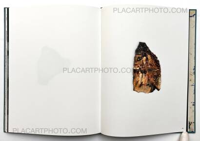 Sara Davidmann,Mischling 1 Sara Davidmann,Mischling 1