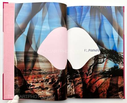 Chloe Sells,Flamingo Chloe Sells,Flamingo