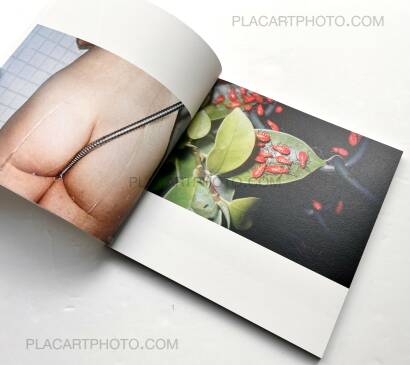 Chan Wai Kwong,KAWAII Chan Wai Kwong,KAWAII