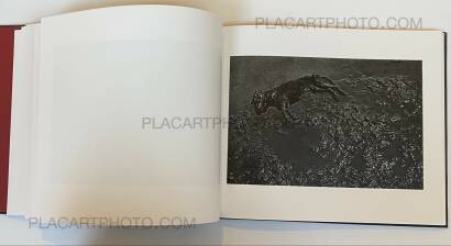 Giorgio Negro,Pathos (SIGNED) Giorgio Negro,Pathos (SIGNED)