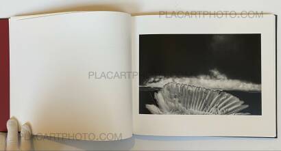 Giorgio Negro,Pathos (SIGNED) Giorgio Negro,Pathos (SIGNED)