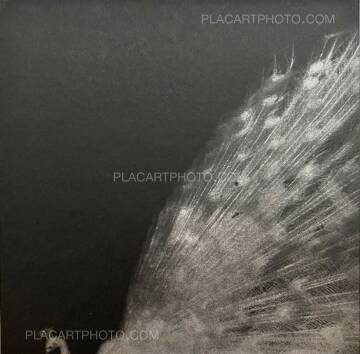 Miho Kajioka,and, do you still hear the peacocks? Miho Kajioka,and, do you still hear the peacocks?