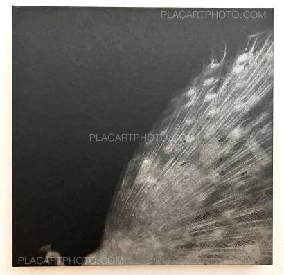 Miho Kajioka,and, do you still hear the peacocks? Miho Kajioka,and, do you still hear the peacocks?