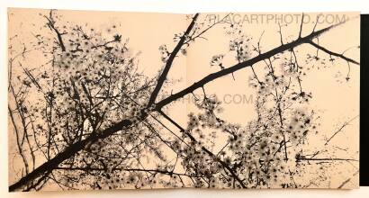 Miho Kajioka,and, do you still hear the peacocks? Miho Kajioka,and, do you still hear the peacocks?