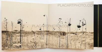 Miho Kajioka,and, do you still hear the peacocks? Miho Kajioka,and, do you still hear the peacocks?