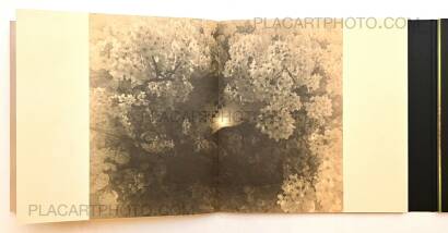 Miho Kajioka,and, do you still hear the peacocks? Miho Kajioka,and, do you still hear the peacocks?