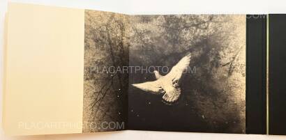 Miho Kajioka,and, do you still hear the peacocks? Miho Kajioka,and, do you still hear the peacocks?