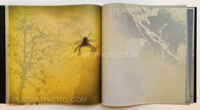 Miho Kajioka,and, do you still hear the peacocks? Miho Kajioka,and, do you still hear the peacocks?