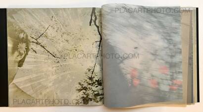 Miho Kajioka,and, do you still hear the peacocks? Miho Kajioka,and, do you still hear the peacocks?