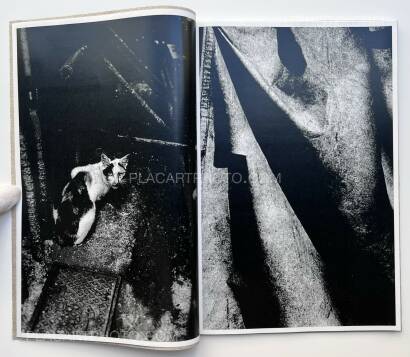 Daido Moriyama,Hiroko (Signed and numbered)