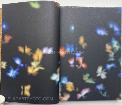 Yusuke Takagi,SPIN Yusuke Takagi,SPIN