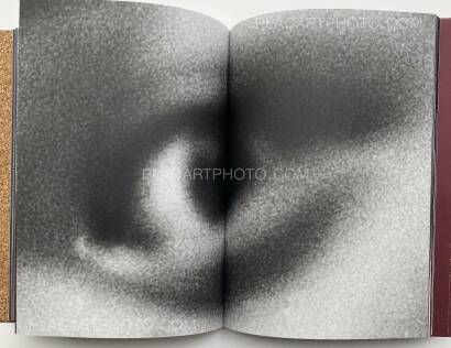 Yusuke Takagi,SPIN Yusuke Takagi,SPIN