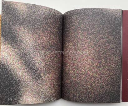 Yusuke Takagi,SPIN Yusuke Takagi,SPIN