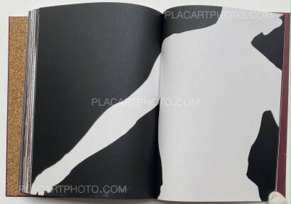 Yusuke Takagi,SPIN Yusuke Takagi,SPIN