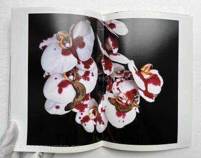 Nobuyoshi Araki,IMTOU Nobuyoshi Araki,IMTOU
