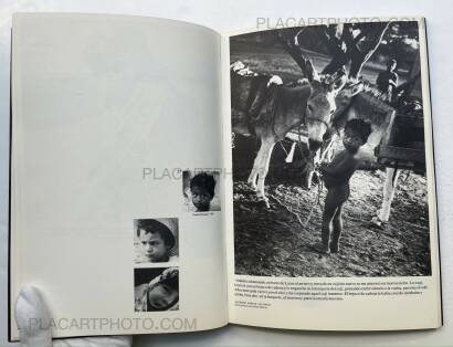 Thea Segall,Los Ninos de Aquí  Thea Segall,Los Ninos de Aquí