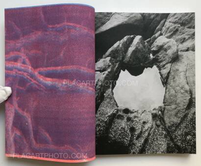 Ying Ang,The Quickening (Edt ltd signed and numbered) Ying Ang,The Quickening (Edt ltd signed and numbered)