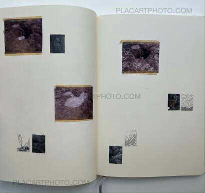 Sara Skorgan Teigen,Sleeping State of Being - Creatures of Night and Day 