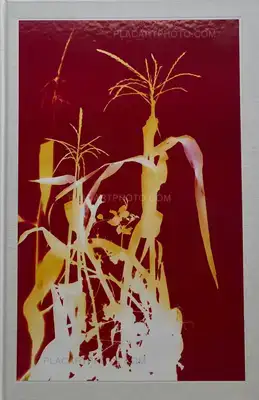 Hendrik Zeitler – 1:1 Hammarkullen (WITH SIGNED AND NUMBERED PRINT)