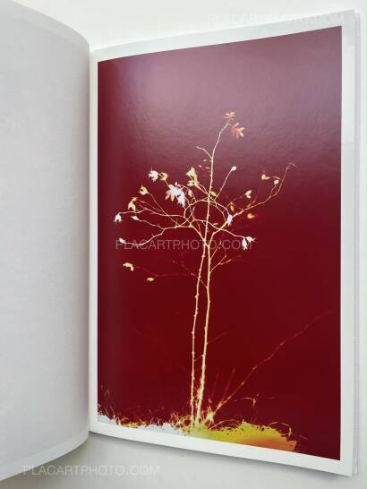 Hendrik Zeitler,1:1 Hammarkullen (WITH SIGNED AND NUMBERED PRINT) Hendrik Zeitler,1:1 Hammarkullen (WITH SIGNED AND NUMBERED PRINT)